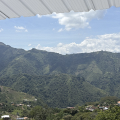 Immersion Project Highlight: Medellín, Colombia